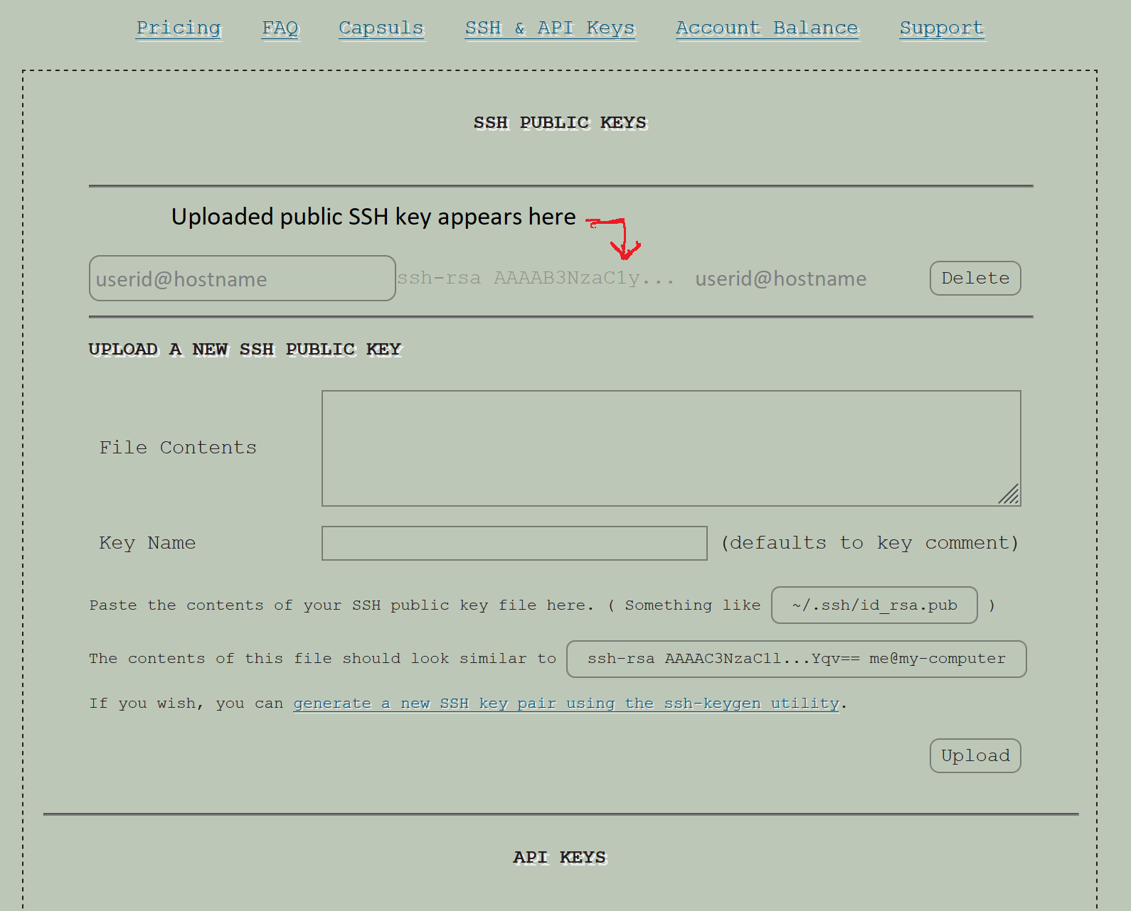 your uploaded public key appears on yolo page